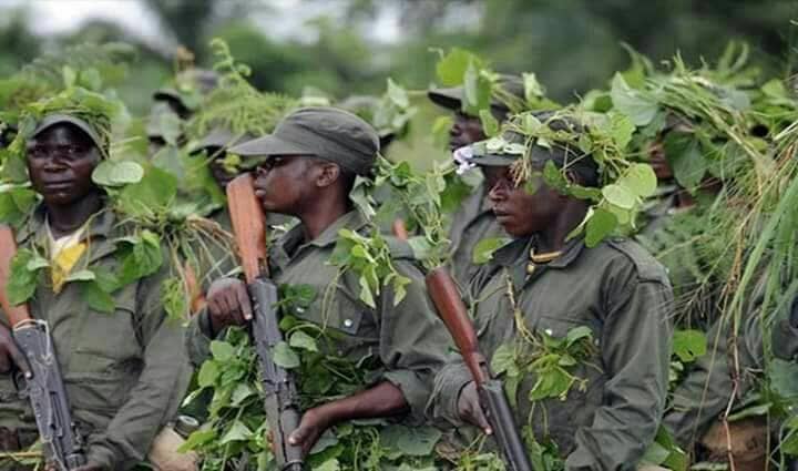 Kwilu :Une dizaine d’assaillants neutralisée par la police à Salapamba