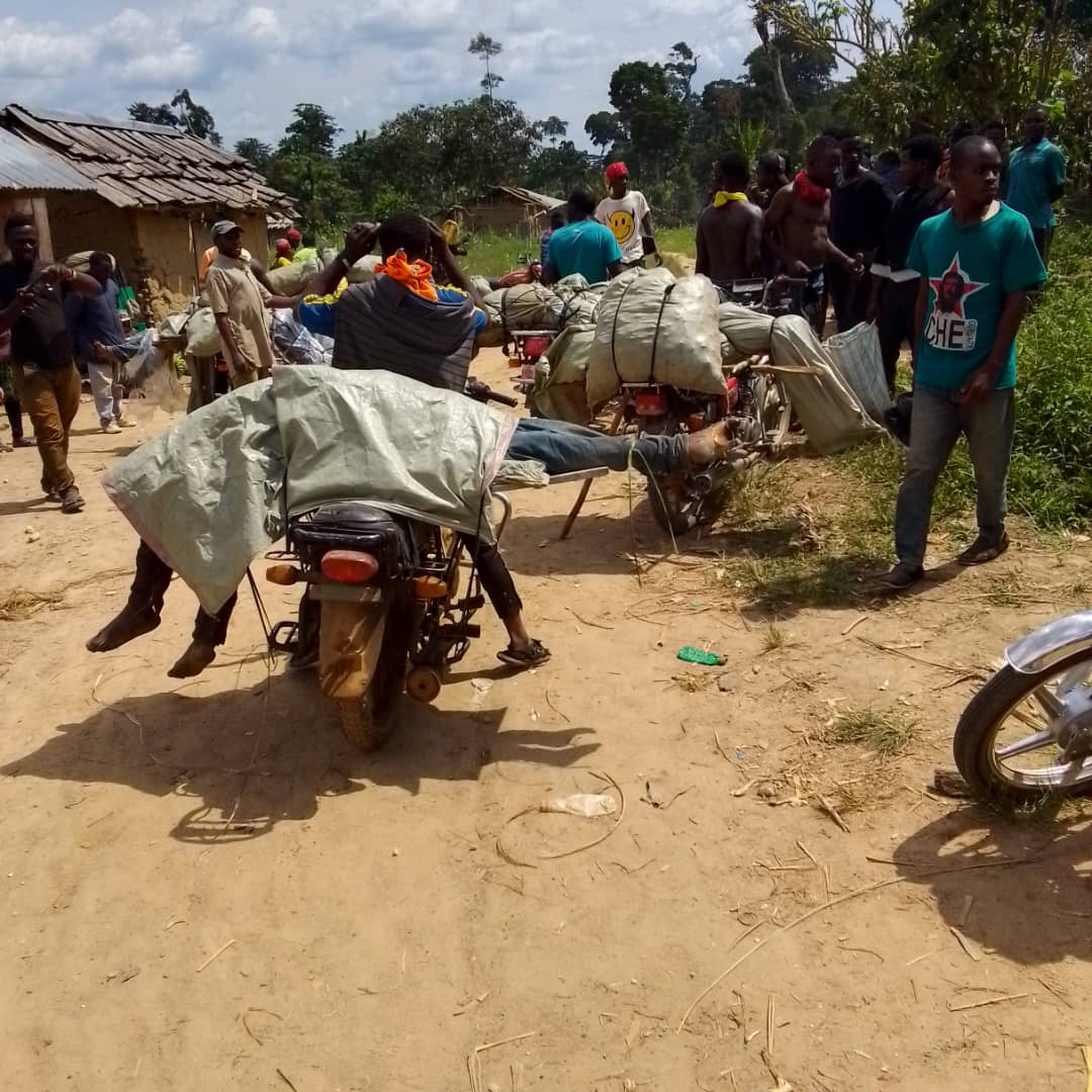 Ituri: plus de 10 morts signalés dans une attaque des CODECO à Gobu