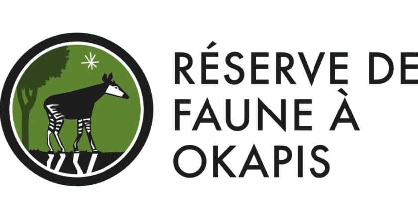 EPULU: Les Mbuti et les Efe de la réserve de Faune à Okapis, sensibilisés de la nouvelle loi portant sur la protection et la promotion des droits des peuples autochtones.