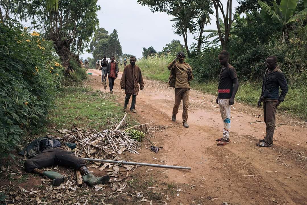 Nord-Kivu : nouveau massacre des civils à Rutshuru, les M23 et les FARDC s’accusent mutuellement