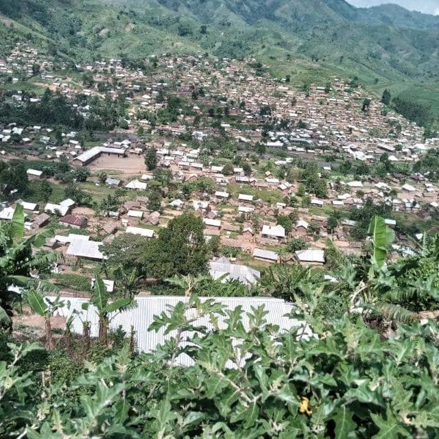 Walikale: de nouveaux mouvements des déplacements massifs des populations signalé dans le groupement waloa Yungu